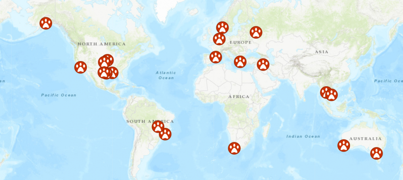 Sheepdog International Technologies (S.I.T.)